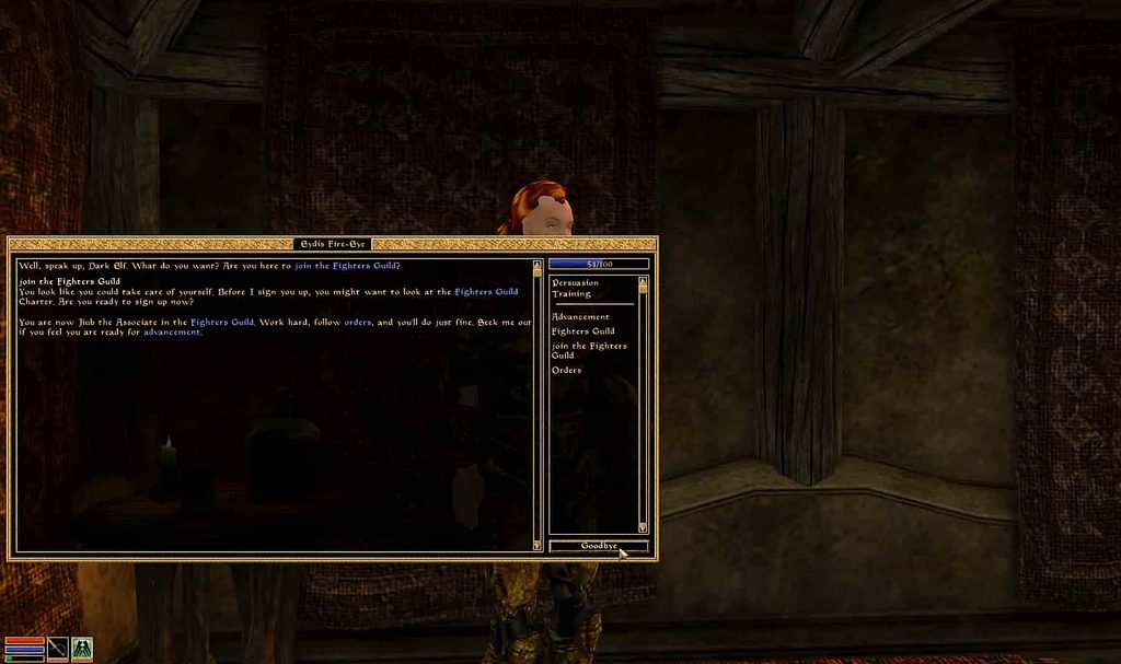 morrowind guide for beginners guild